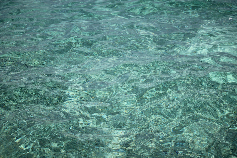 잉어 꿈 해몽 15 가지: 맑은 물에서 헤엄치는 잉어를 보는 꿈, 잉어가 죽거나 상처 입은 꿈 길흉화복 완전정복