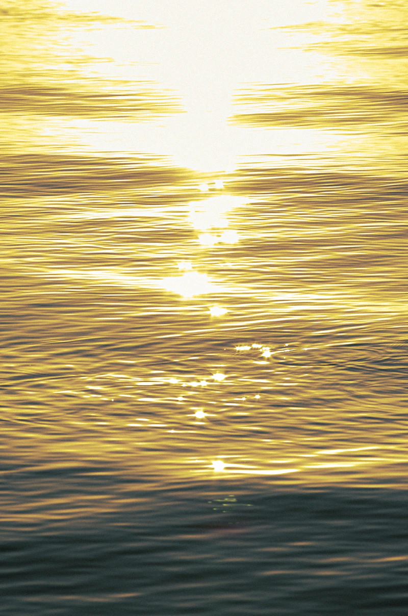 황금 꿈 해몽 15가지: 황금빛 내 인생 꿈, 황금 유향 몰약의 의미 꿈 길흉화복 완전정복