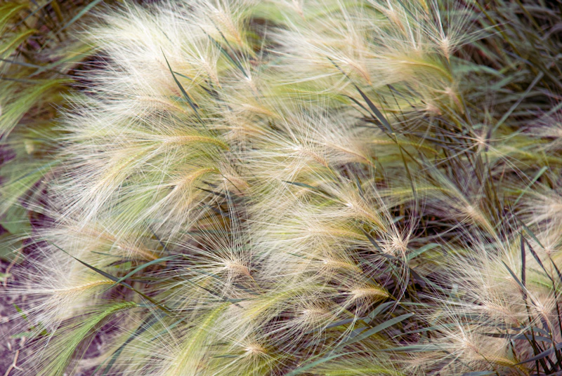 머리카락 빠지는