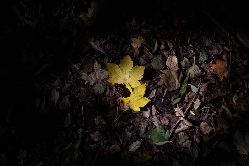 금 나오는 꿈 해몽 13가지: 금 나오는 꿈 기본 의미, 금 나오는 좌표 꿈 길흉화복 완전정복