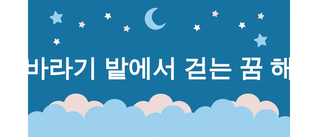 해바라기 밭에서 걷는 꿈