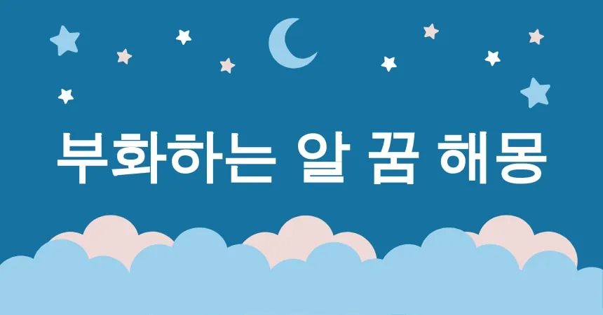 부화하는 알 꿈