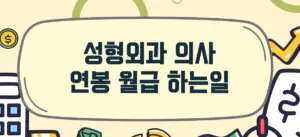 성형외과의사-월급