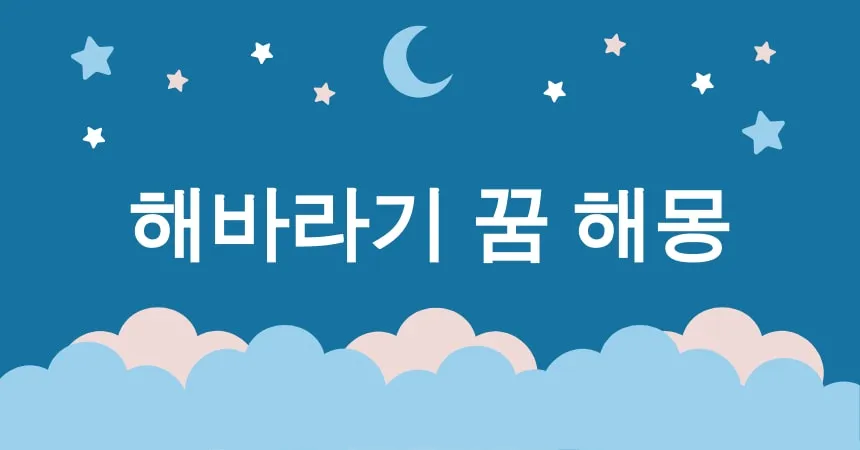 해바라기 꿈 해몽 15가지 (해바라기 밭에서 걷는 꿈, 해바라기 꽃이 활짝 핀 꿈, 해바라기를 쫓는 꿈, 해바라기 사이에서 만나는 꿈, 해바라기 속에 머무는 꿈)