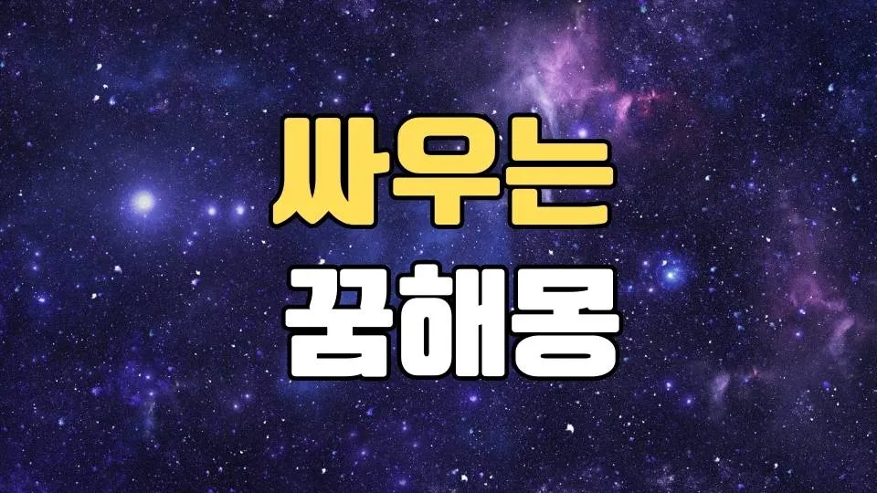 싸우는꿈 해몽 20가지 총정리