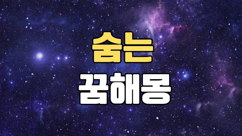 숨는꿈 해몽 20가지 총정리