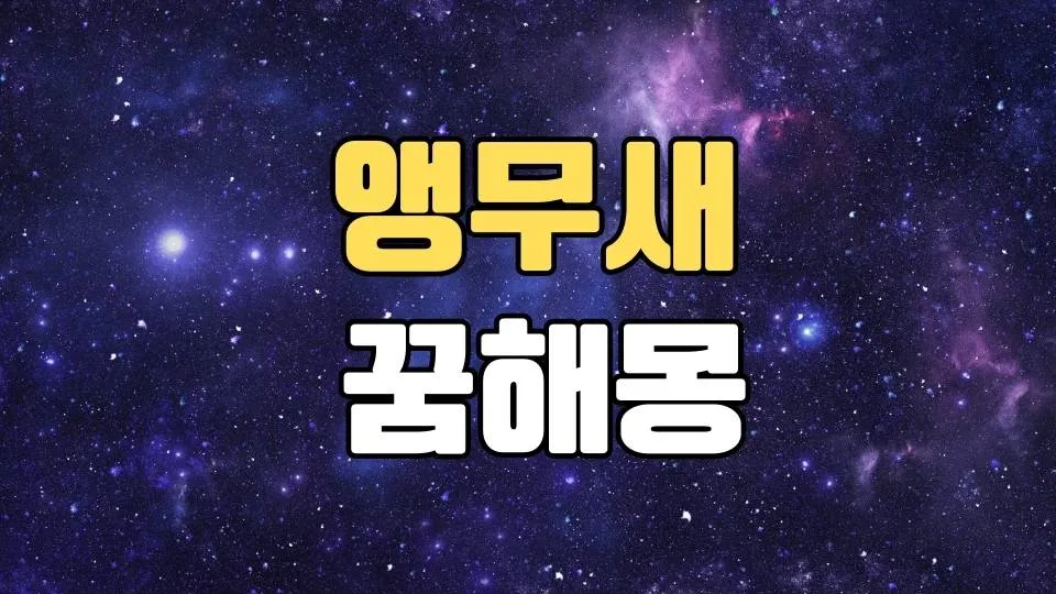 앵무새꿈 해몽 20가지 총정리