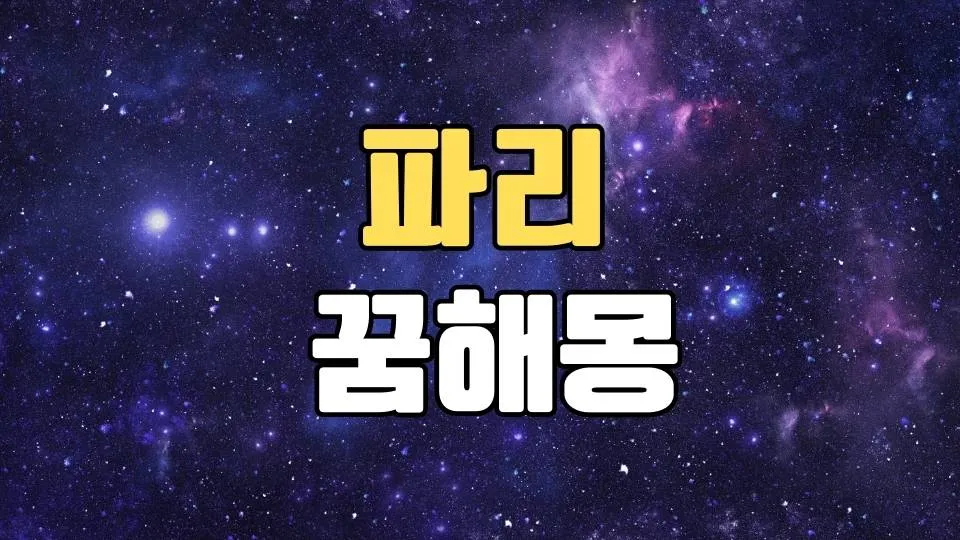 파리꿈 해몽 20가지 총정리