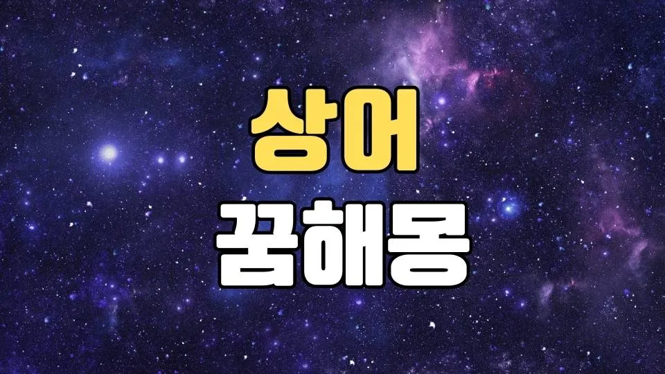 상어꿈 해몽 20가지 총정리