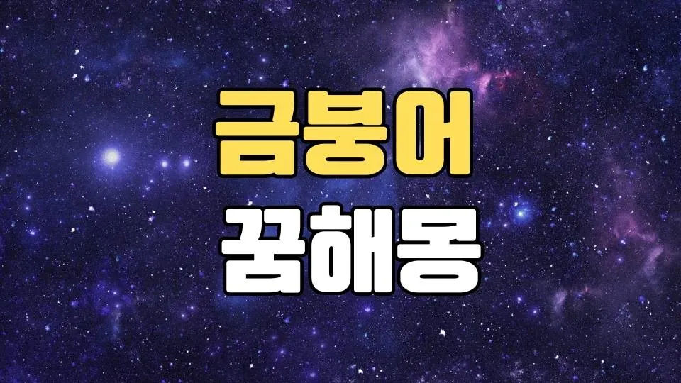 금붕어꿈 해몽 20가지 총정리