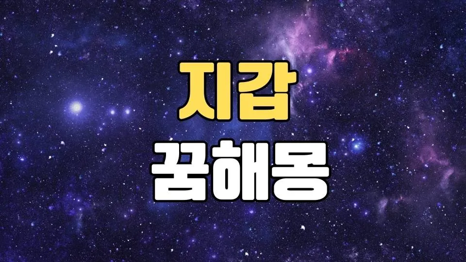 지갑꿈 해몽 20가지 총정리
