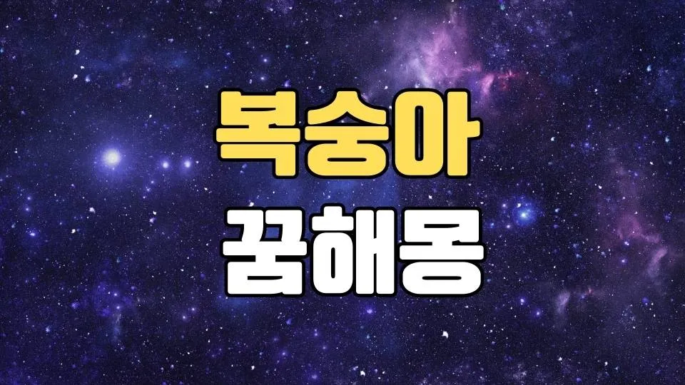 복숭아꿈 해몽 20가지 총정리