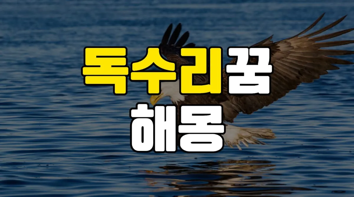 독수리꿈 해몽 20가지 총정리