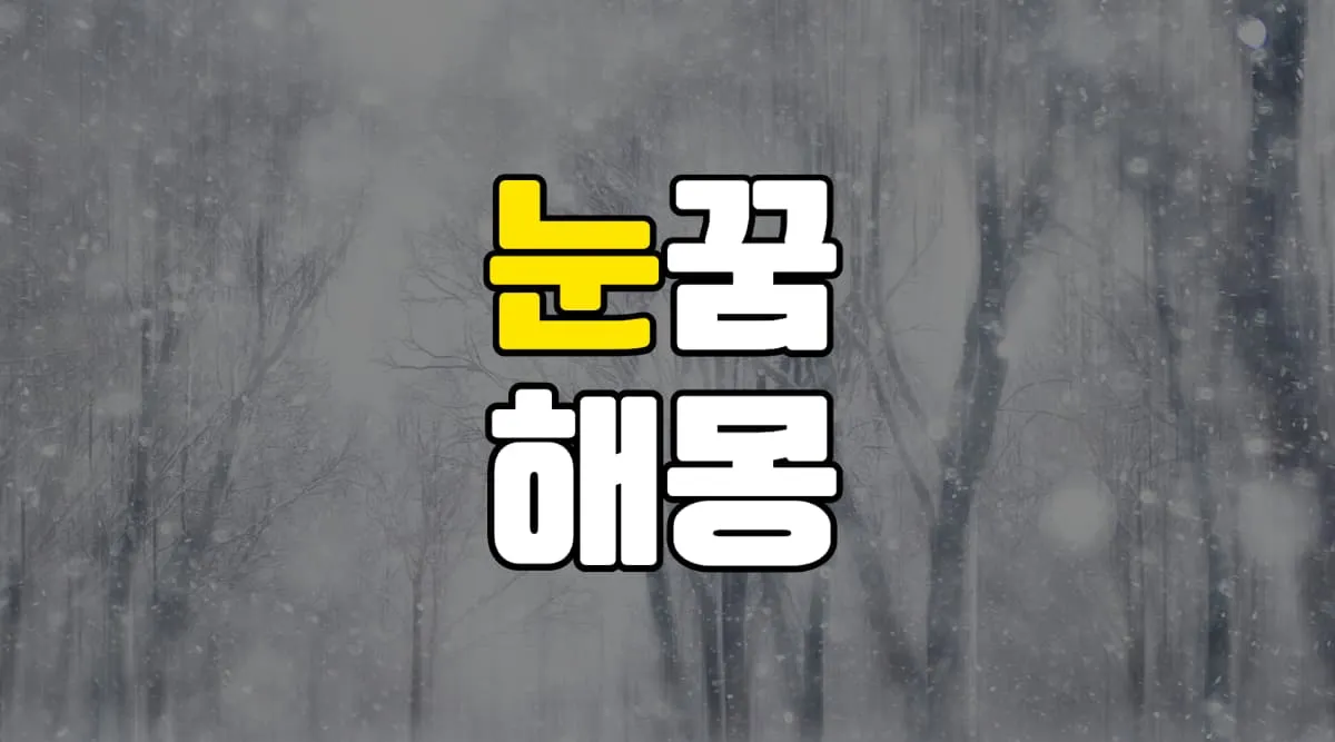 눈꿈 해몽 20가지 총정리