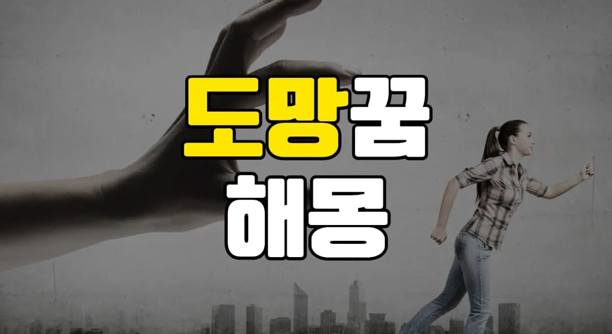 도망꿈 해몽 20가지 총정리