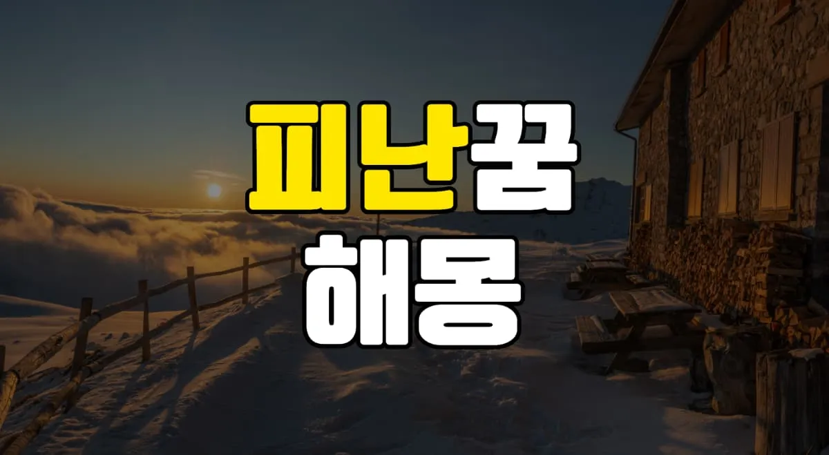 대피하는 피난꿈 해몽 20가지 총정리