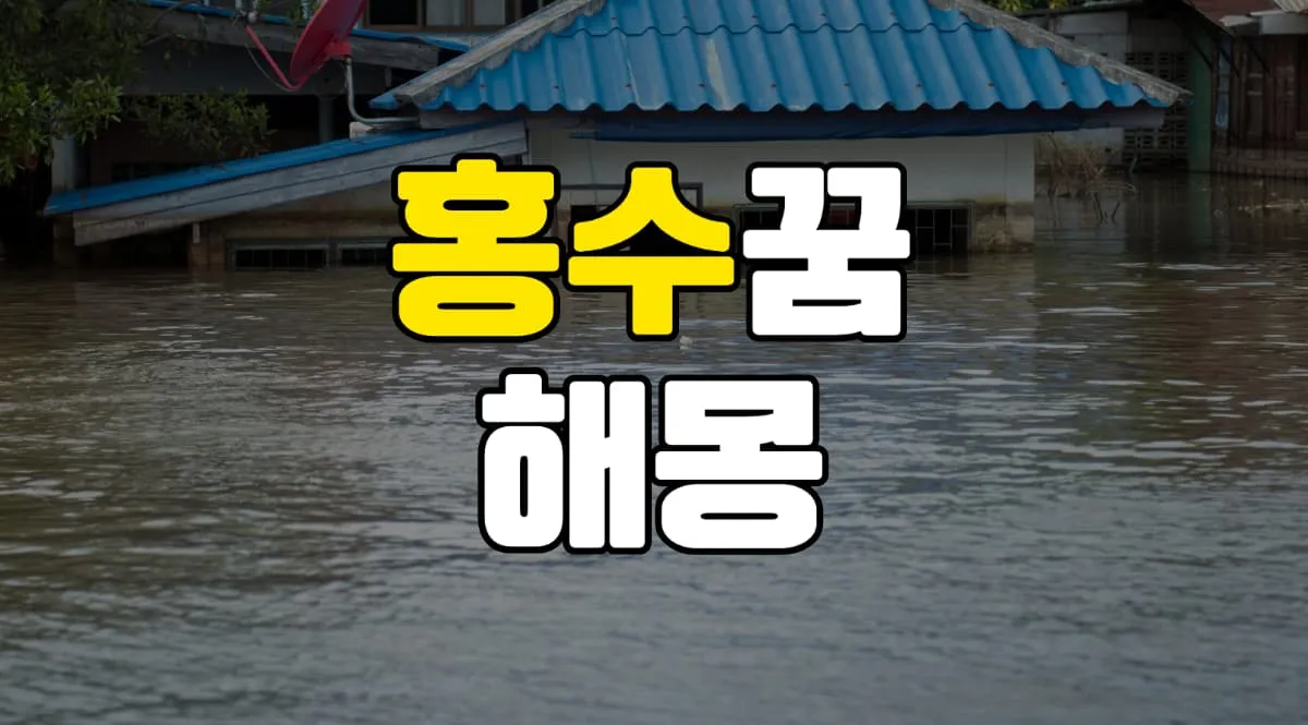 홍수꿈 해몽 20가지 총정리