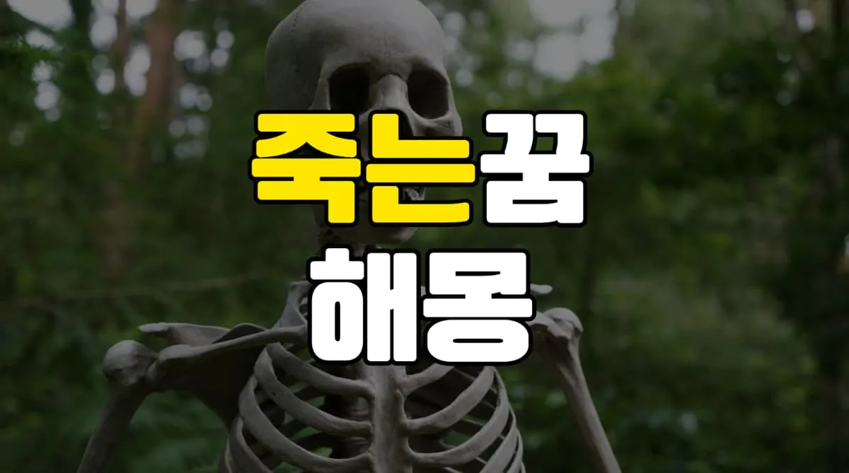 죽는꿈 해몽 20가지 총정리