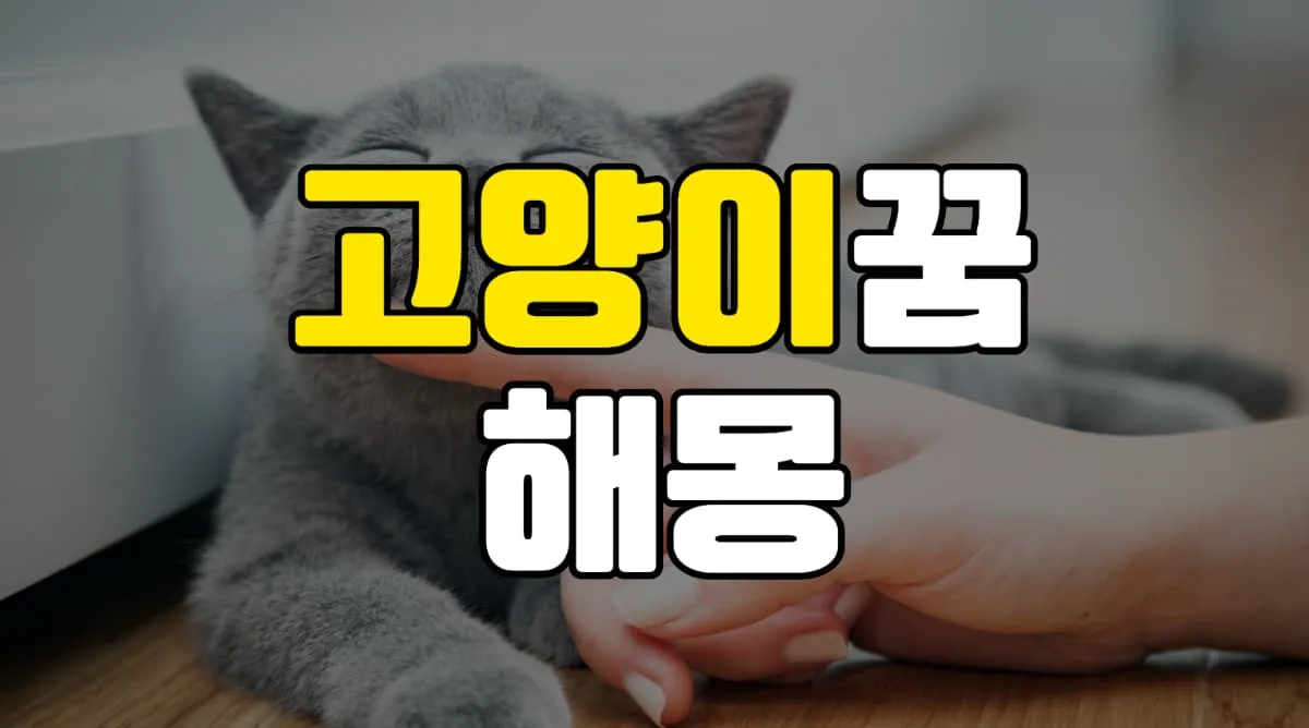 고양이꿈 해몽 20가지 총정리