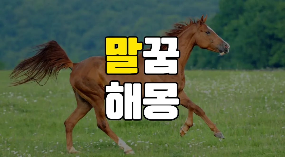 말꿈 해몽 20가지 총정리