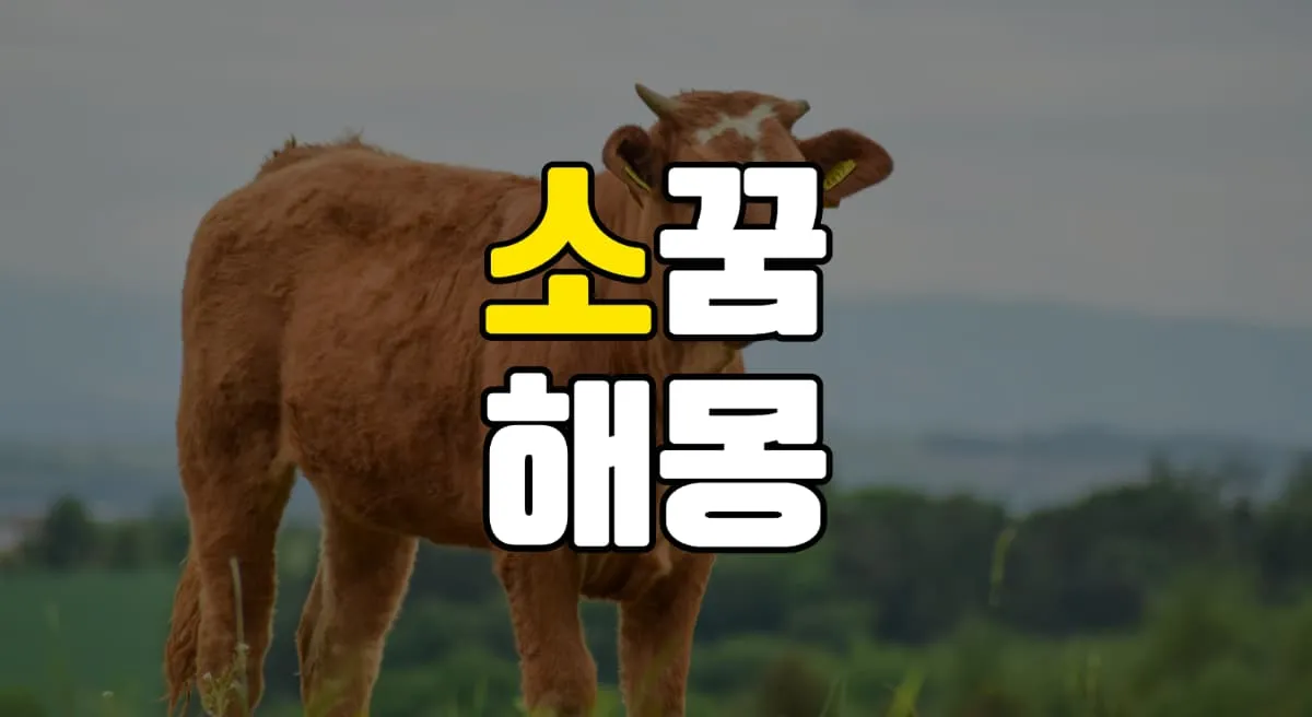 소꿈 해몽 20가지 총정리