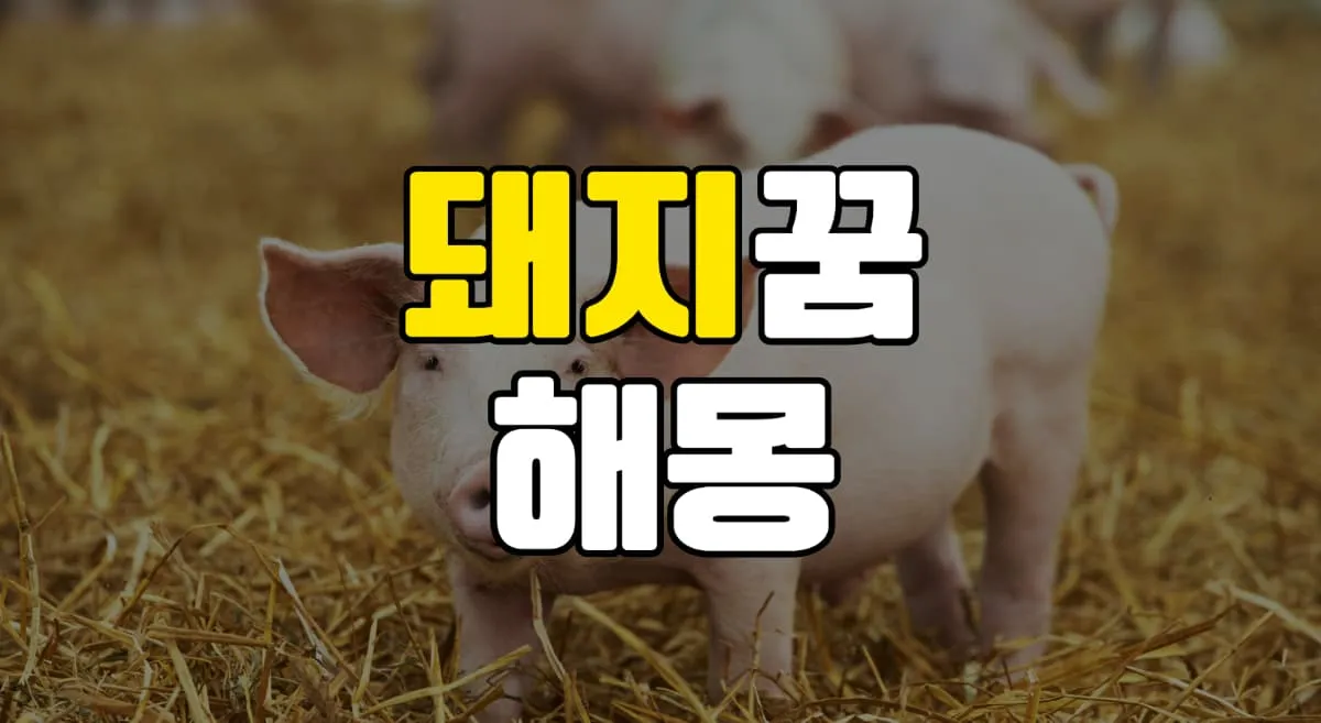 돼지꿈 해몽 20가지 총정리