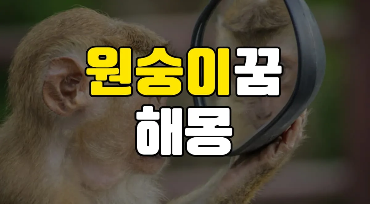 원숭이꿈 해몽 20가지 총정리