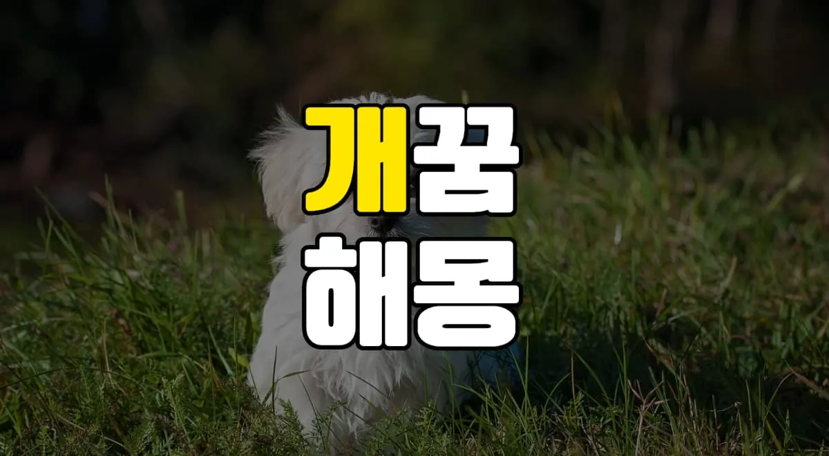 개꿈 강아지꿈 해몽 20가지 총정리
