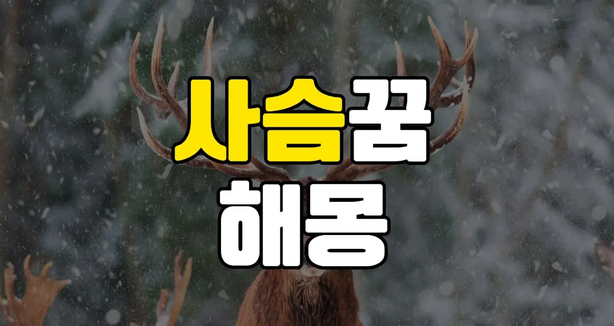 사슴꿈 해몽 20가지 총정리