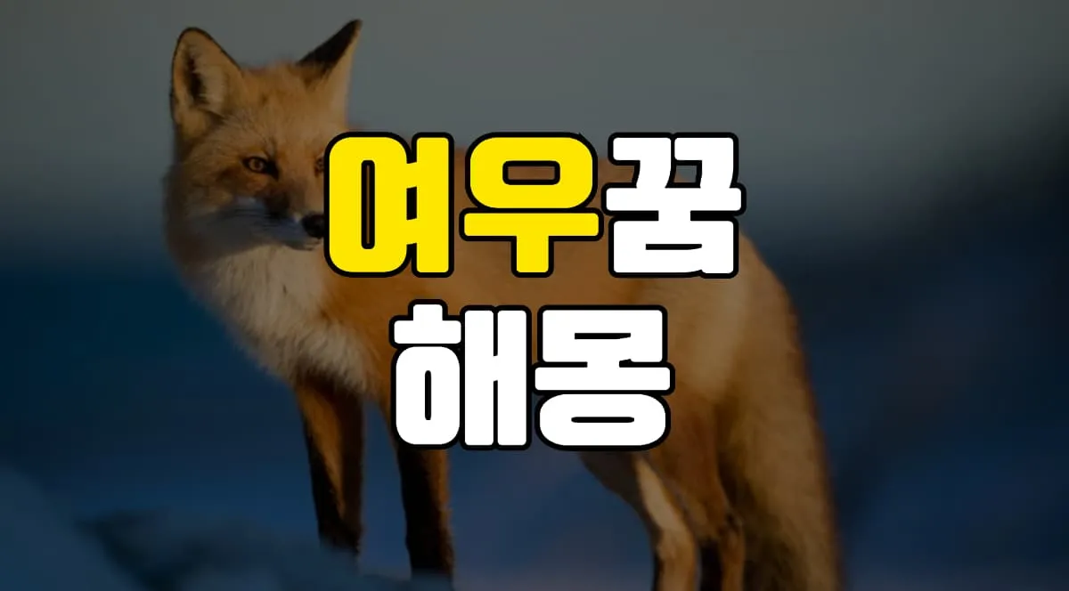 여우꿈 해몽 20가지 총정리