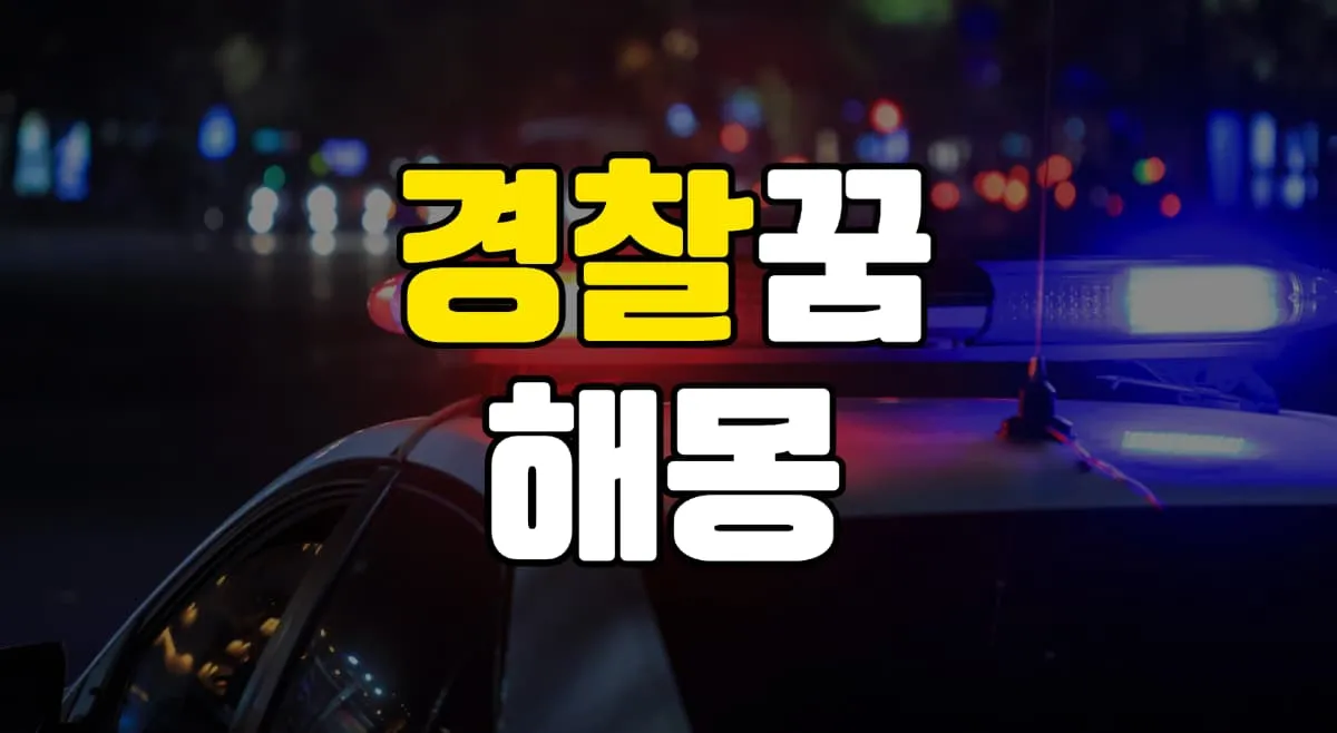 경찰꿈 해몽 20가지 총정리