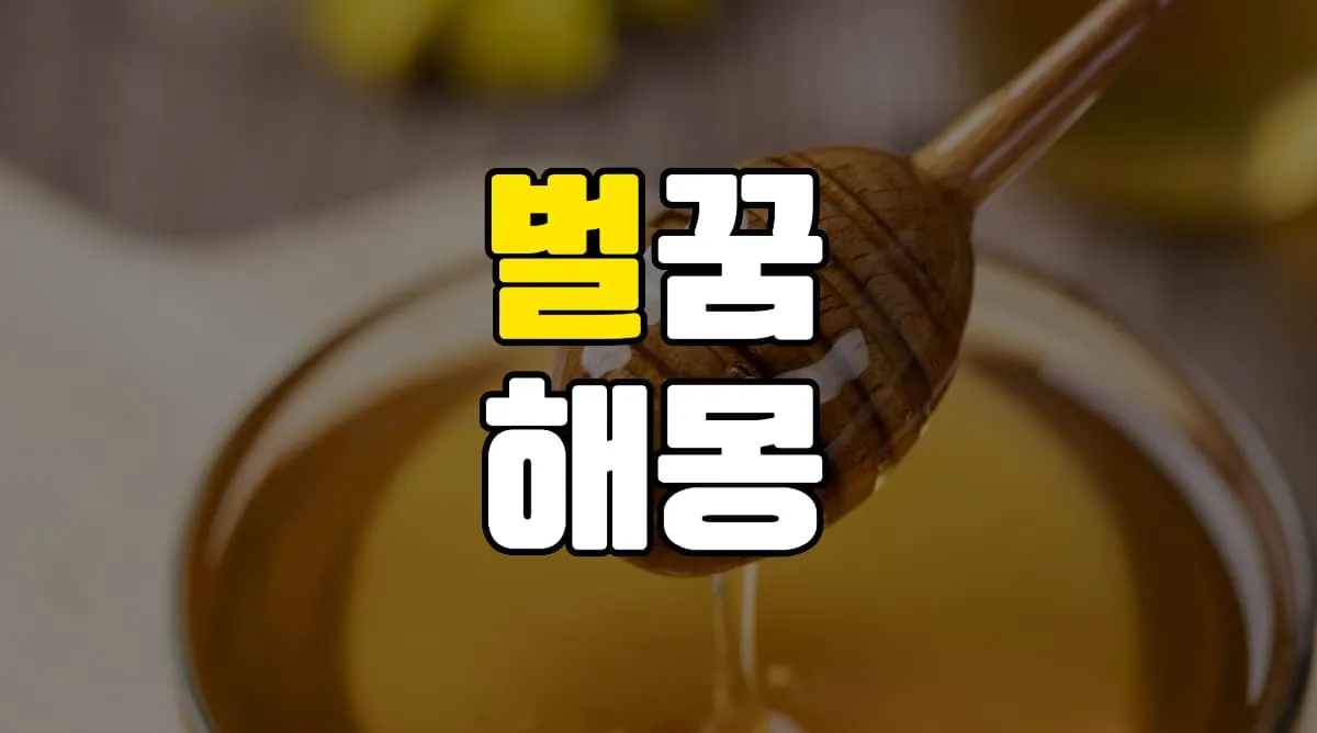 벌꿈 해몽 20가지 총정리