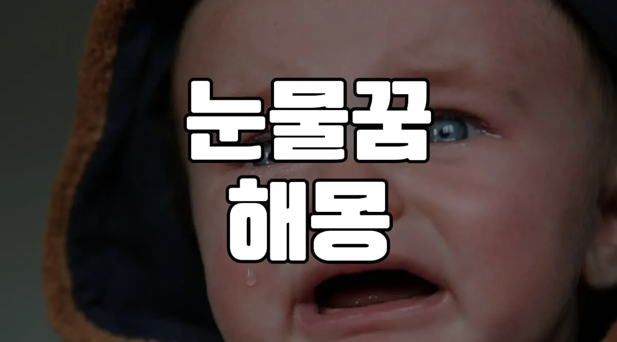 눈물꿈 해몽 20가지 총정리