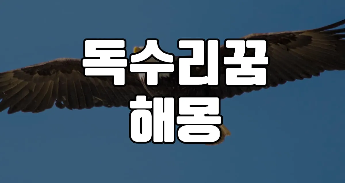 독수리꿈 해몽 25가지 총정리