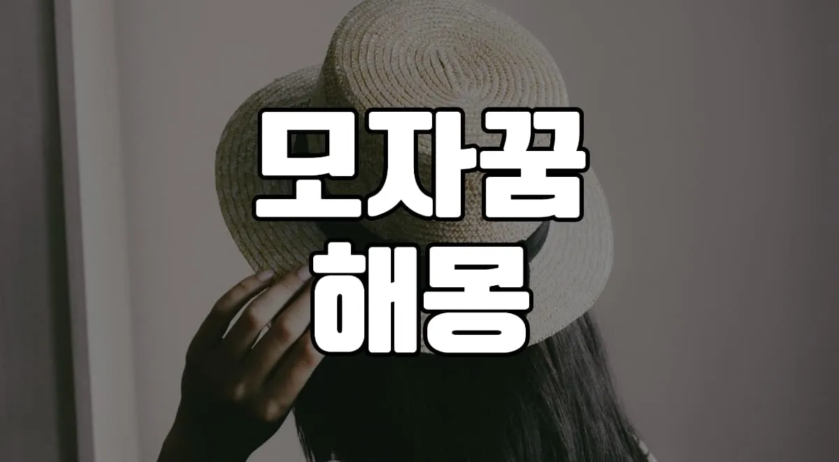 모자꿈 해몽 20가지 총정리