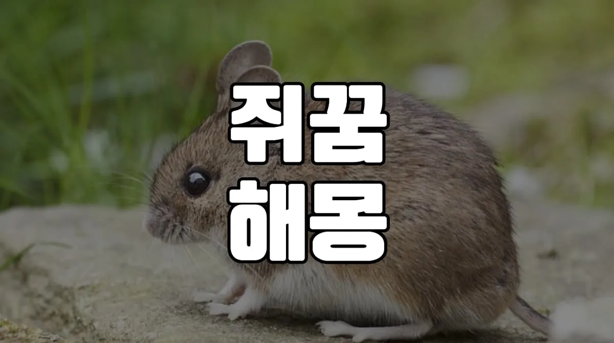 쥐꿈 해몽 20가지 총정리