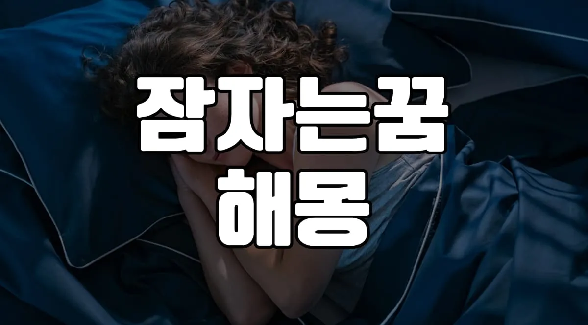 잠자는꿈 해몽 20가지 총정리