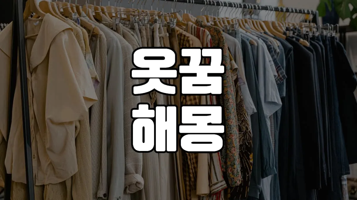 옷꿈 해몽 20가지 총정리