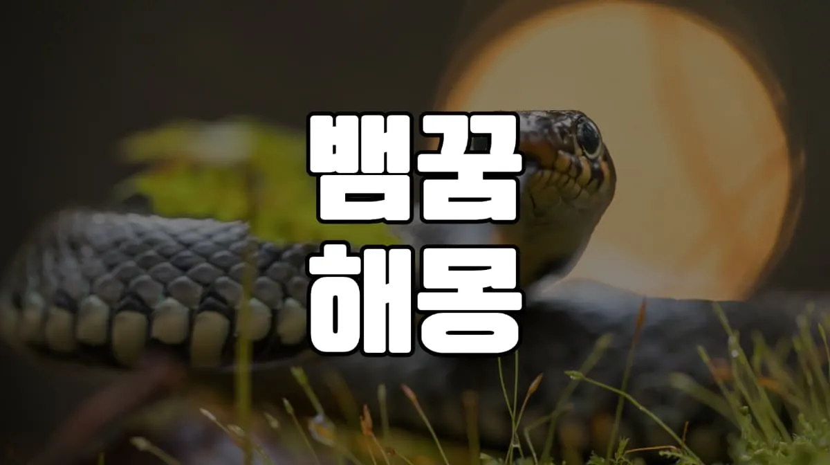 뱀꿈 해몽 20가지 총정리