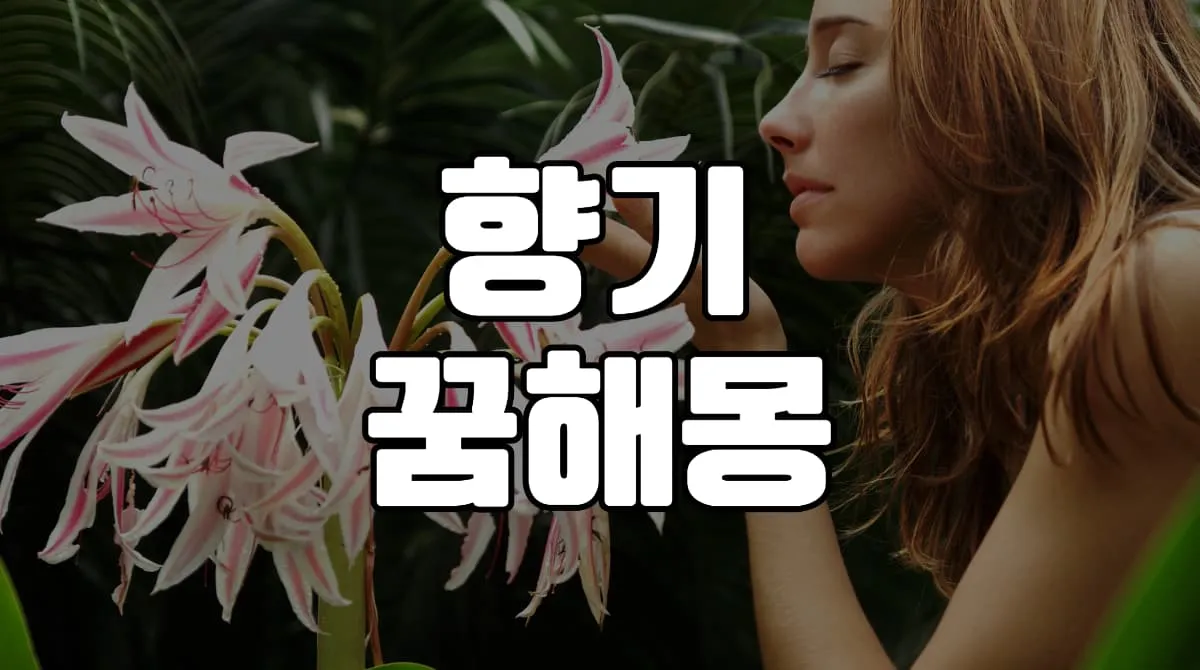 2023년 향기꿈 해몽 25가지 총정리
