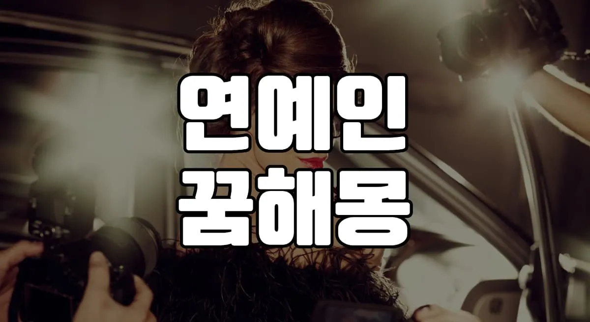 연예인 꿈 해몽 17가지 총정리