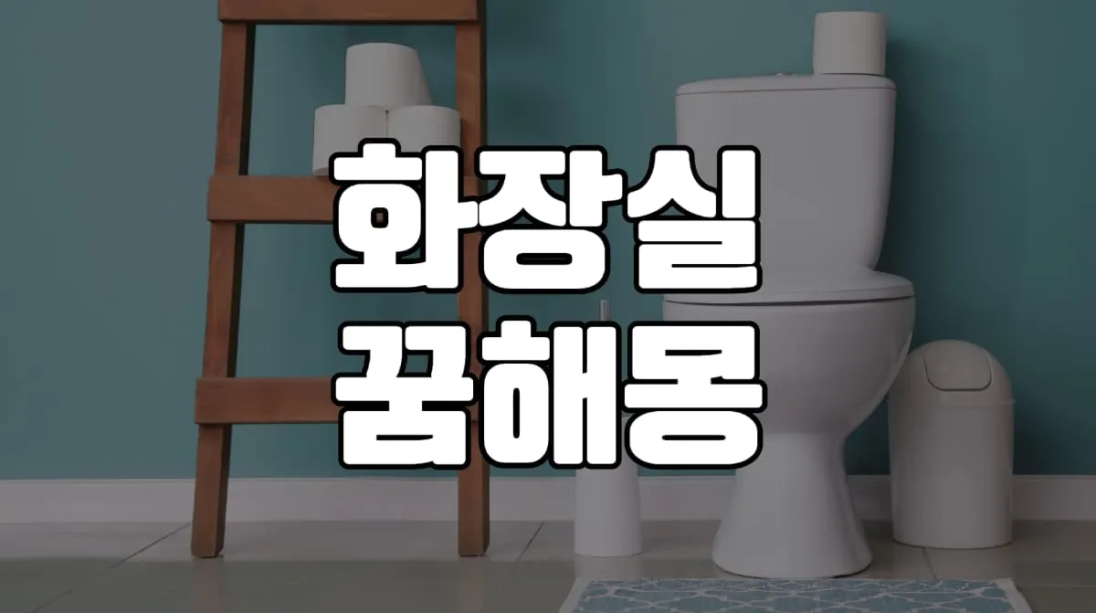 화장실 꿈 해몽 30가지 총정리