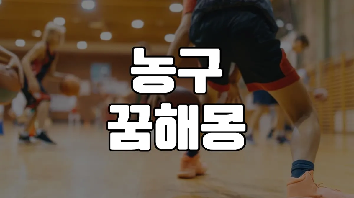 농구 꿈 해몽 20가지 총정리