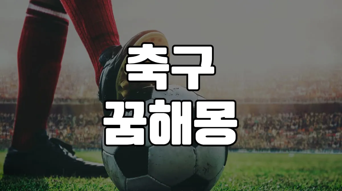 축구 꿈 해몽 23가지 총정리