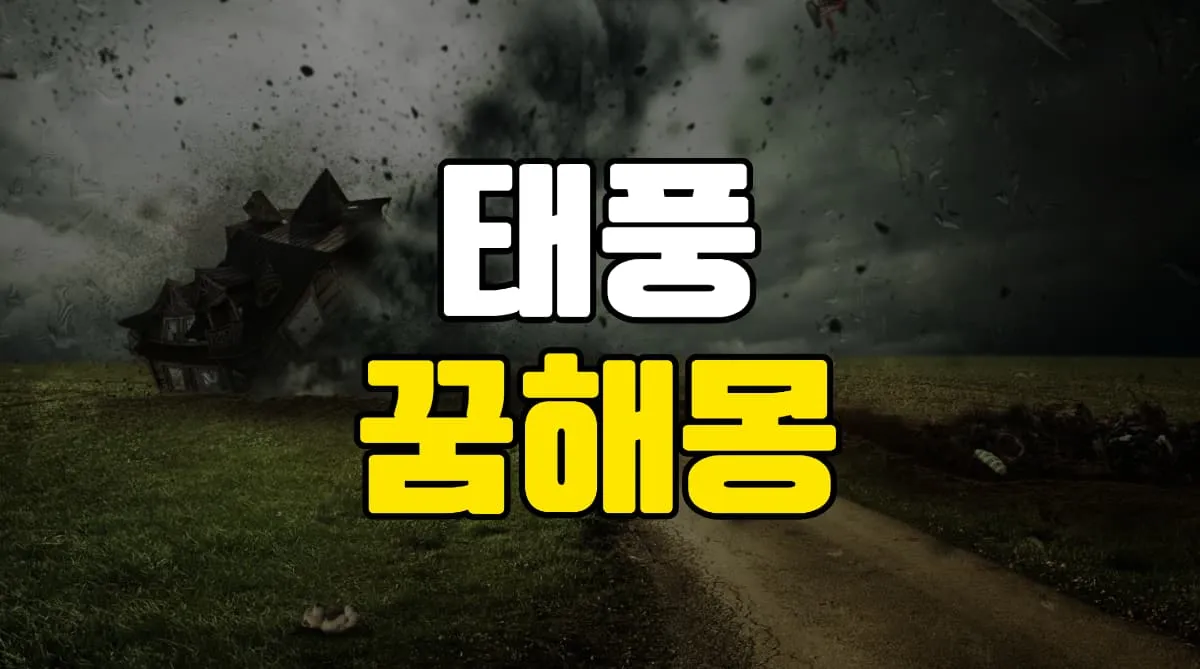 태풍 꿈 해몽 23가지 총정리