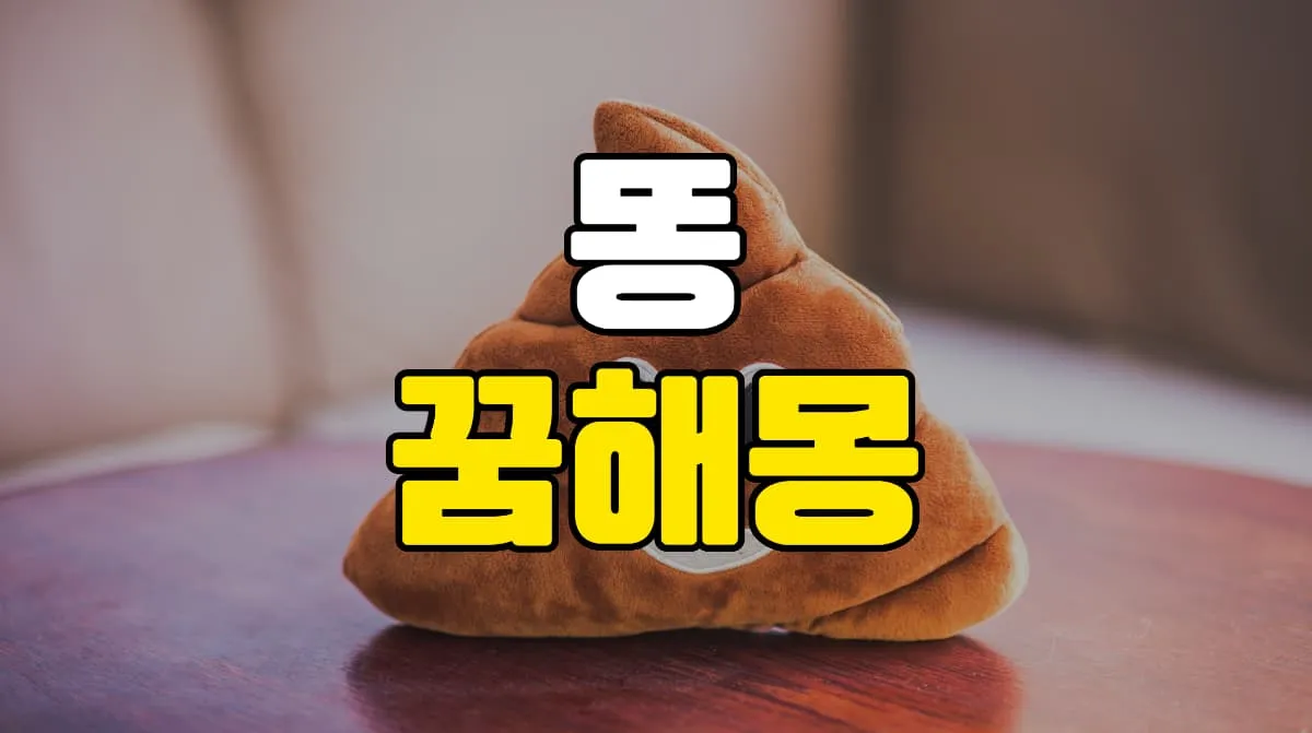 똥 꿈 해몽 10가지